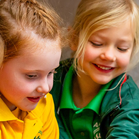 Davallia Primary School
