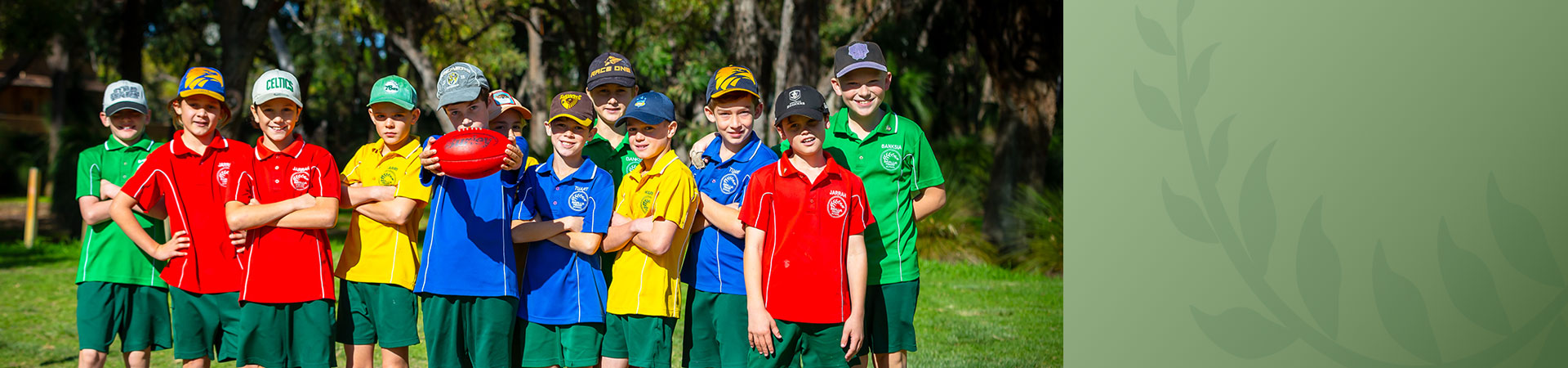 Davallia Primary School