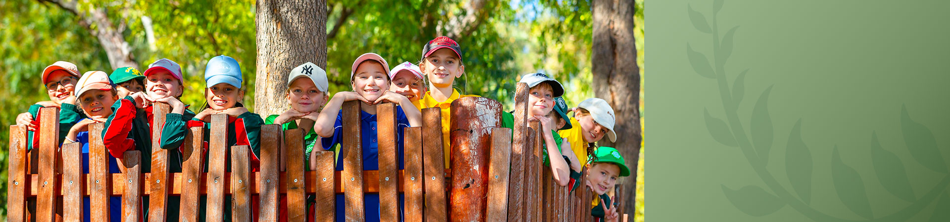 Davallia Primary School