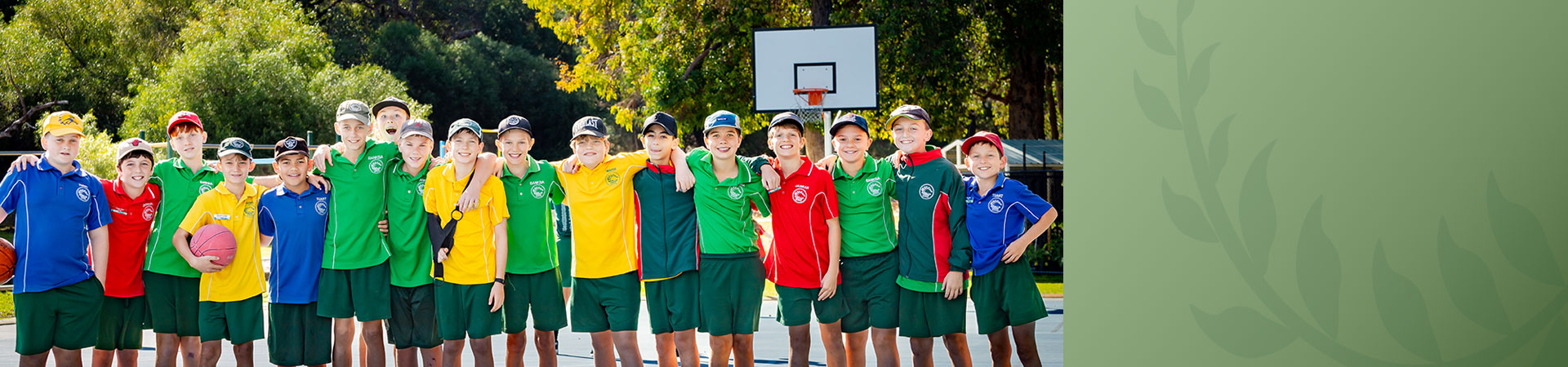 Davallia Primary School