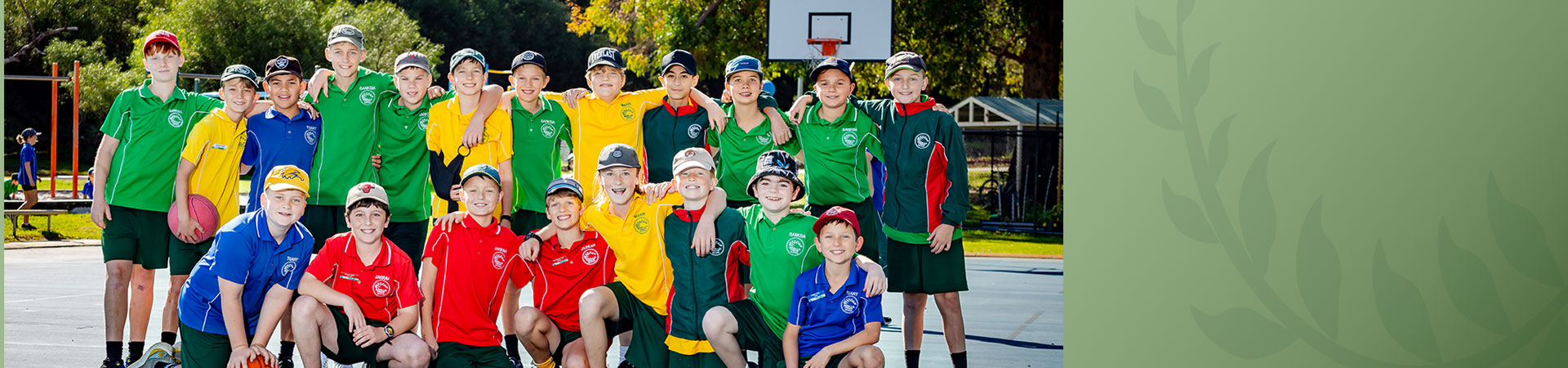 Davallia Primary School
