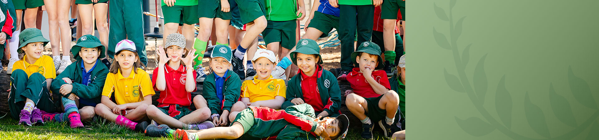 Davallia Primary School