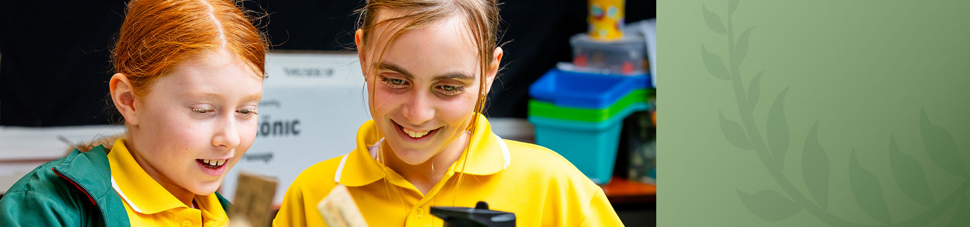 Davallia Primary School
